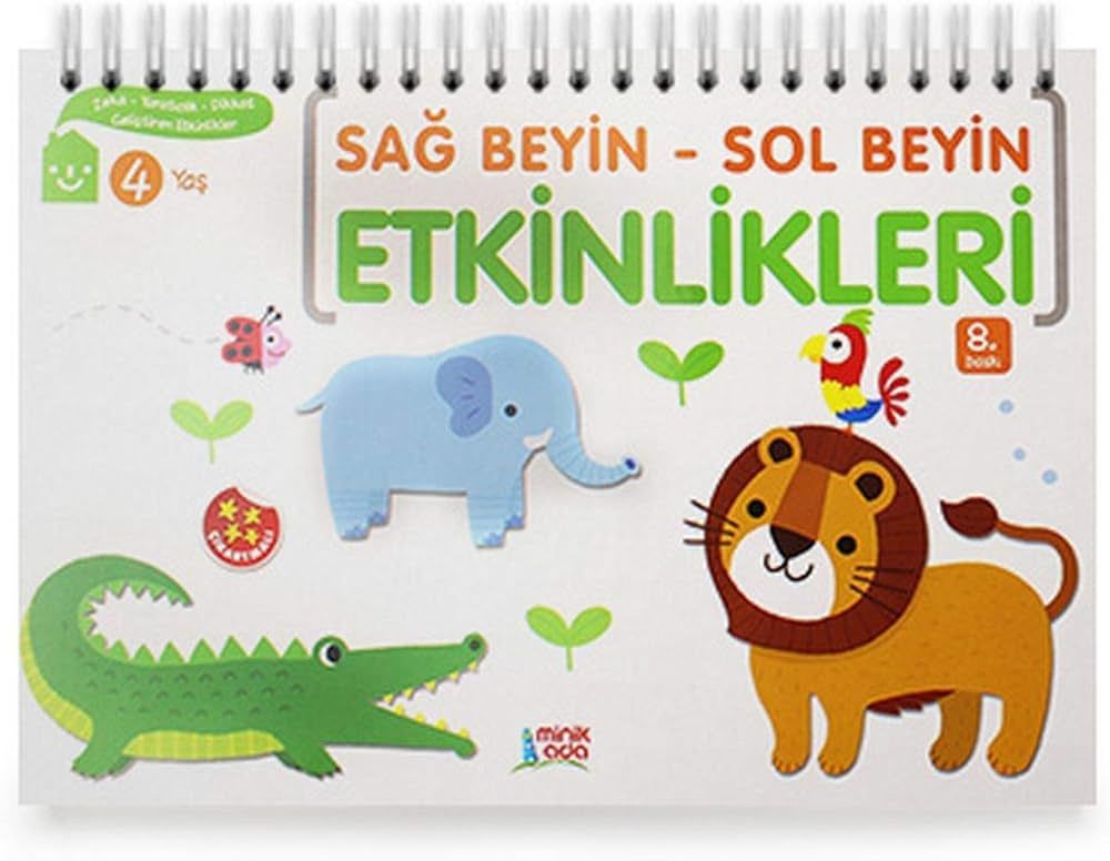 4 Yaş Sağ Beyin - Sol Beyin Etkinlikleri
